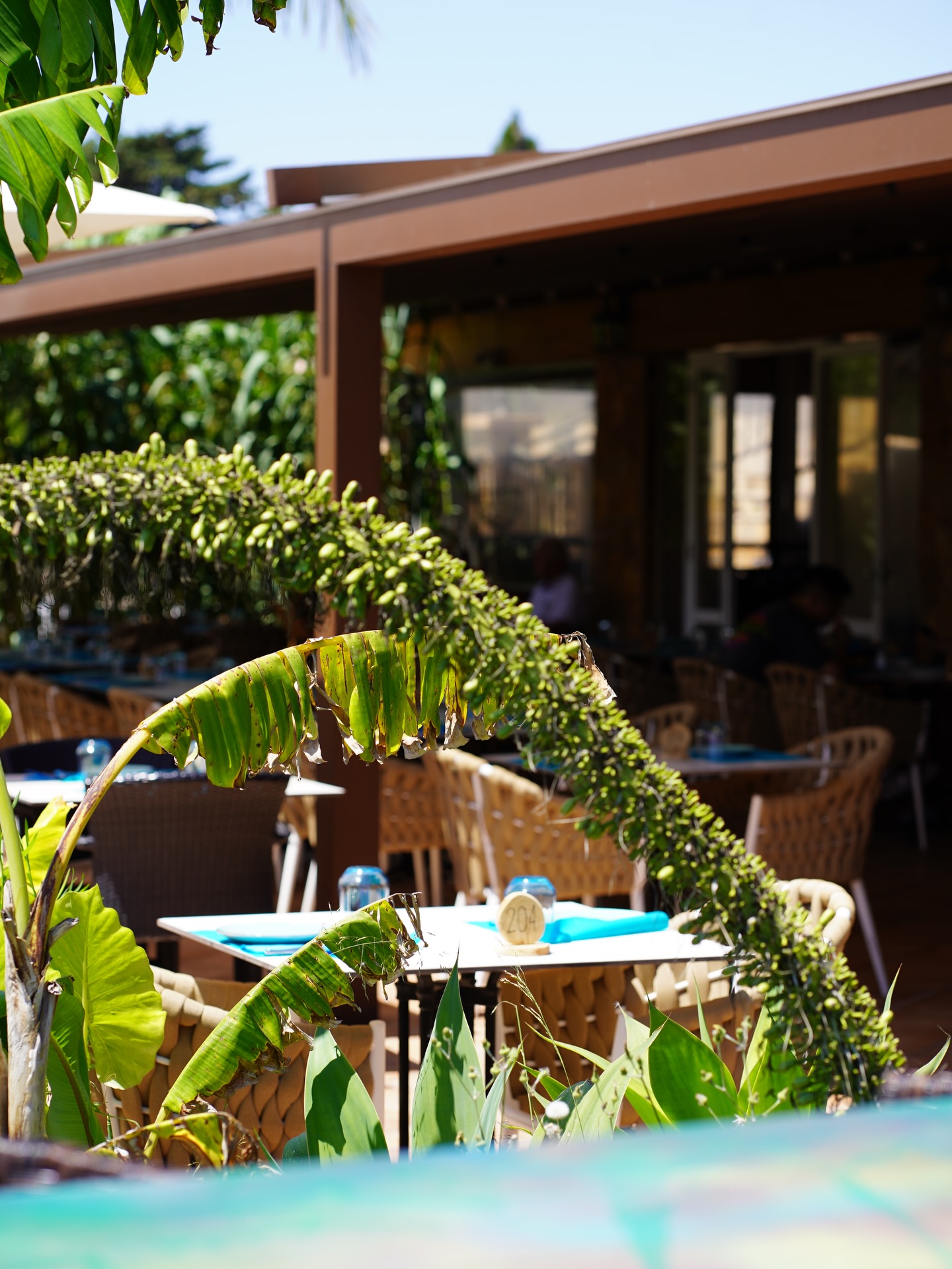 ¡PLAN DE FIN DE SEMANA ACTIVADO! 🚀☀️

Terraza + Sol de Primavera + Parrilla encendida = La felicidad en Binicanella.

Te esperamos de miércoles a lunes, de 12:00h a 00:00h. ¡Ven a brindar por el descanso! 🥂🥩

📞 Reserva tu rincón favorito: 971 56 72 70⁣⁣⁣⁣⁣⁣⁣⁣⁣⁣

••

WOCHENEND-PLAN AKTIVIERT! 🚀☀️

Terrasse + Frühlingssonne + heisser Grill = Glück pur im Binicanella.

Wir erwarten dich von Mittwoch bis Montag, von 12:00 Uhr bis 00:00 Uhr. Komm vorbei und stoss auf die freien Tage an! 🥂🥩

📞 Reserviere deinen Lieblingsplatz: 971 56 72 70⁣⁣⁣⁣⁣⁣⁣⁣⁣⁣