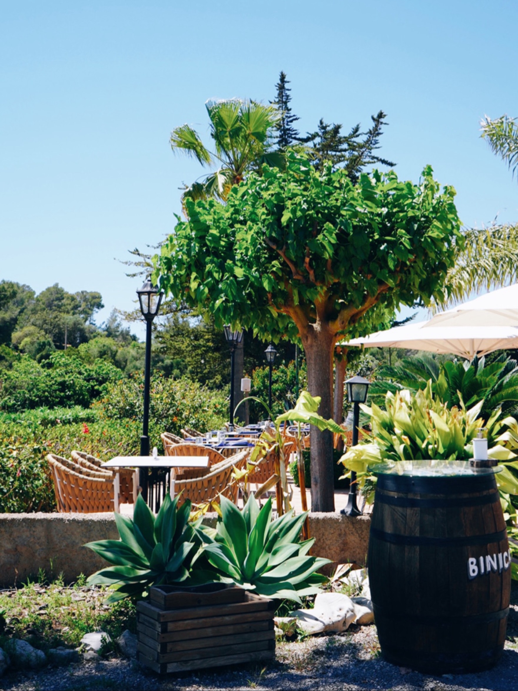 El cielo azul de Mallorca y un rincón reservado para ti. ☀️🌿
Mira la foto detalladamente. ¿No te entran ganas automáticas de teletransportarte a una de esas mesas? 

El verde de nuestra terraza está más vibrante que nunca, el sol brilla y el ambiente está listo para recibirte.

Deja las prisas fuera. En Binicanella abrimos de 12:00h a 00:00h (de miércoles a lunes) para que disfrutes de este paraíso a tu propio ritmo. Un buen vino, el aroma de la brasa de fondo... y a disfrutar de la vida. 🥂🔥

¿Te guardamos sitio al sol? ¡Haz tu reserva! 👇
📞 971 56 72 70⁣⁣⁣⁣⁣⁣⁣⁣⁣⁣
📍 Carretera Son Servera - Capdepera Km.2