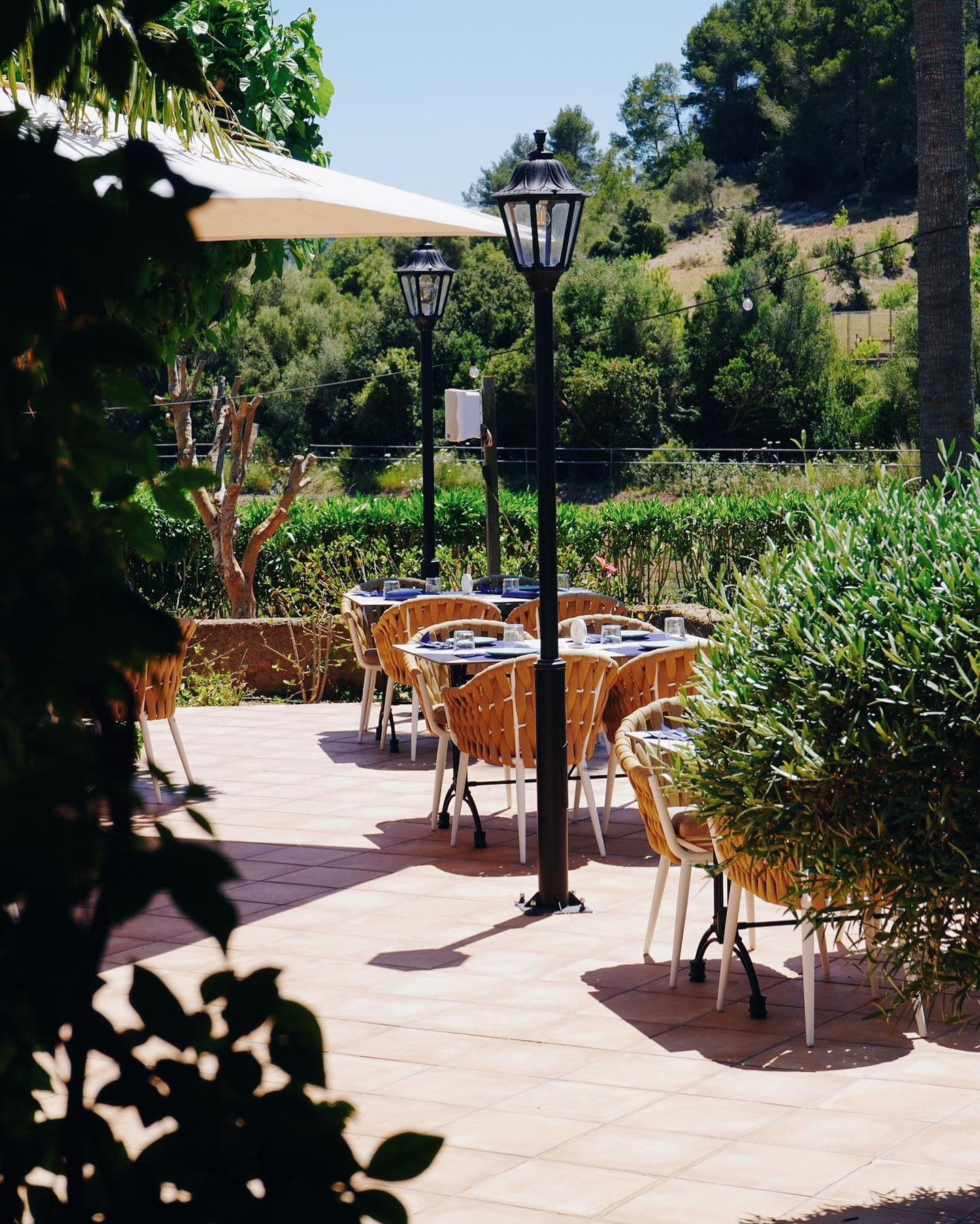 El aire libre. La naturaleza. La rayos de sol. La brisa del atardecer. ☀️🌳⁣
¡Qué maravillosa manera de sentirse libre y en paz!⁣
⁣
Bienvenido a Restaurante Grill Binicanella. 🍽️⁣
Bienvenidos a nuestra casa. 🍻💚⁣
⁣
-⁣⁣⁣⁣⁣⁣
RESERVAS: ☎️ 971 56 72 70⁣⁣⁣⁣⁣⁣⁣⁣⁣⁣⁣
📍Carretera Son Servera - Capdepera Km.2 ⁣⁣
⁣
⁣
- · -⁣
⁣
Die freie Luft. Die Natur. Sonnenschein. Die Abendbrise. ☀️🌳⁣
Was für eine wunderbare Art, sich frei und in Frieden zu fühlen!⁣
⁣
Willkommen im Binicanella Grill Restaurant. 🍽️⁣
Willkommen in unserem Haus. 🍻💚⁣
⁣
-⁣
RESERVIERUNGEN: ☎️ 971 56 72 70⁣
📍Carretera Son Servera - Capdepera Km.2⁣⁣⁣⁣
