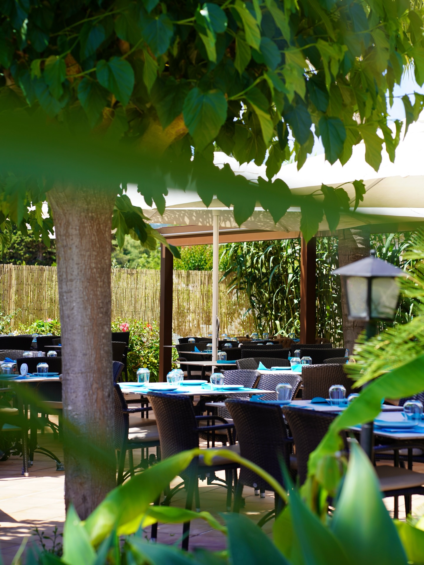 El termómetro sube y las ganas de terraza también. 

En Binicanella hemos preparado nuestro espacio exterior para que vivas la esencia del Mediterráneo: sol, buena compañía y platos que saben a gloria. 🥩

¡Te esperamos de miércoles a lunes en nuestro horario ininterrumpido!

☎️ 971 56 72 70⁣⁣⁣⁣⁣⁣⁣⁣⁣⁣

··

Die Temperaturen steigen und die Lust auf die Terrasse wächst. 

Bei Binicanella haben wir unseren Außenbereich so hergerichtet, dass du das Wesen des Mittelmeers genießen kannst: Sonne, gute Gesellschaft und Gerichte, die einfach himmlisch schmecken. 🥩

Wir erwarten dich von Mittwoch bis Montag durchgehend!

☎️ 971 56 72 70⁣⁣⁣⁣⁣⁣⁣⁣⁣⁣